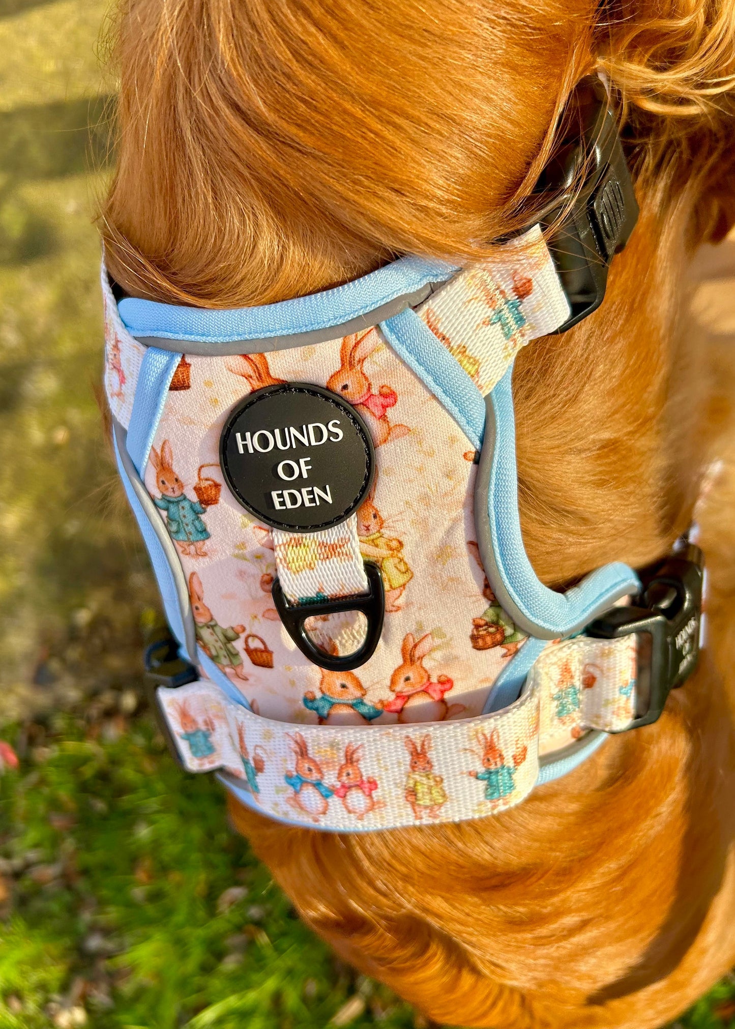 Bunny Tales - Blue, Dog Supaw Strong™ Lite Harness (XS-XL) - The Bark Market