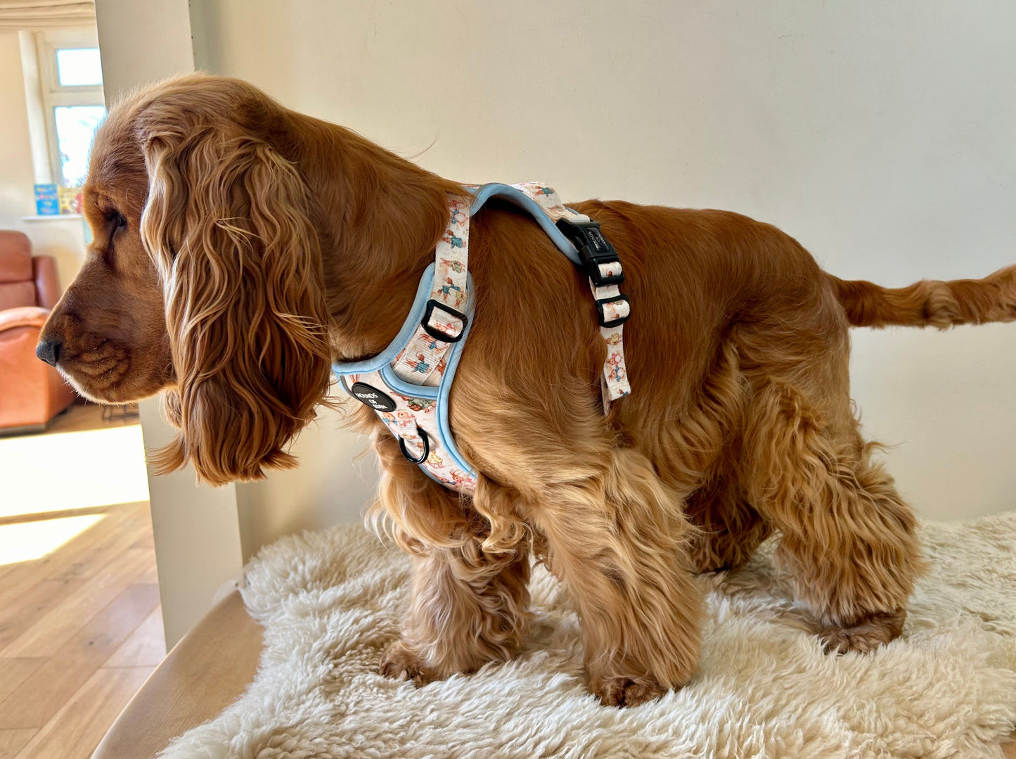 Bunny Tales - Blue, Dog Supaw Strong™ Lite Harness (XS-XL) - The Bark Market