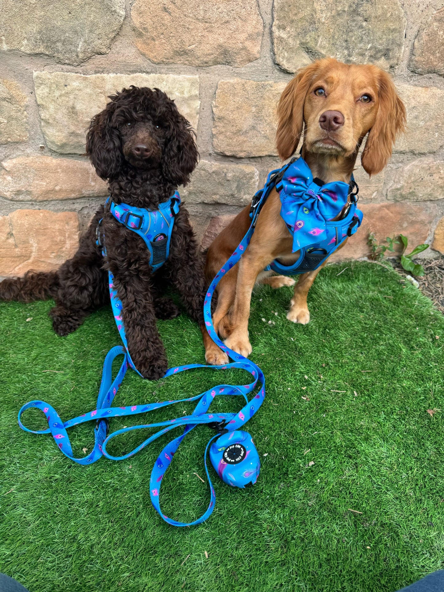 Power Peacock Tactical Dog Harness β No Pull & Fully Adjustable