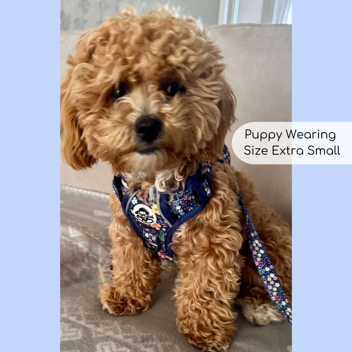Rugged Rover™ Harness - Summer Meadow - The Bark Market