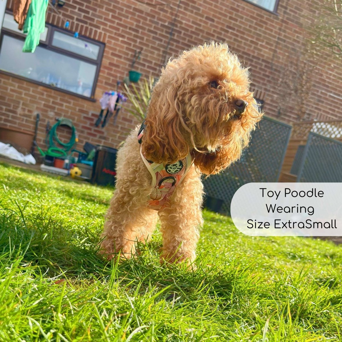 Rugged Rover™ Harness - Autumn Breeze - The Bark Market
