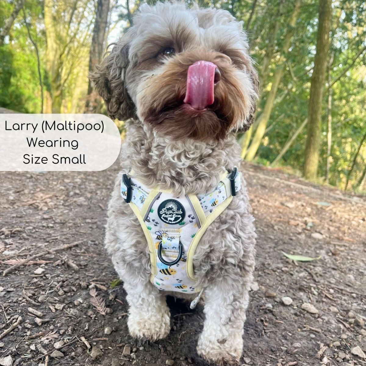 Rugged Rover™ Harness - Bee-utiful Summer - The Bark Market