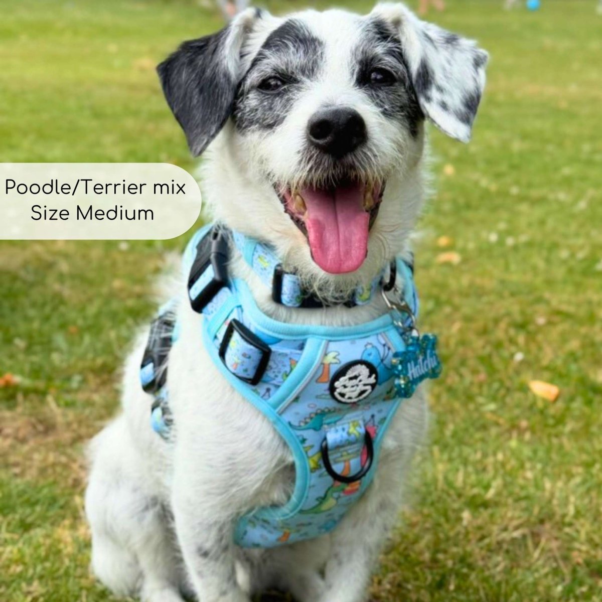 Rugged Rover™ Harness - Jurassic Party - The Bark Market