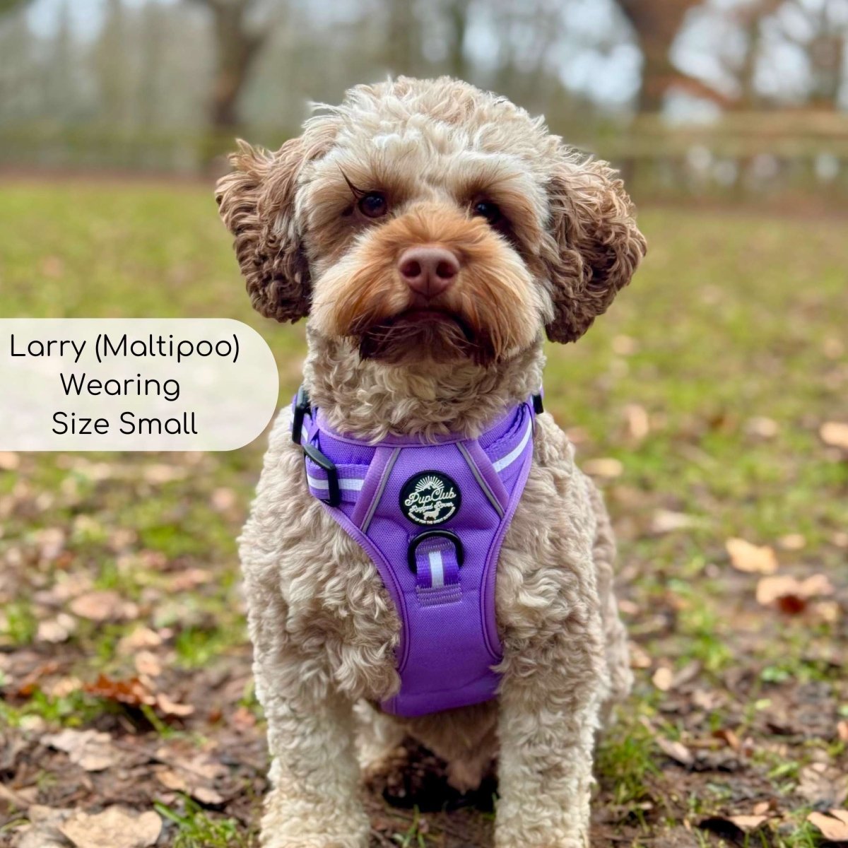 Rugged Rover™ Harness - Lilac Blush - The Bark Market