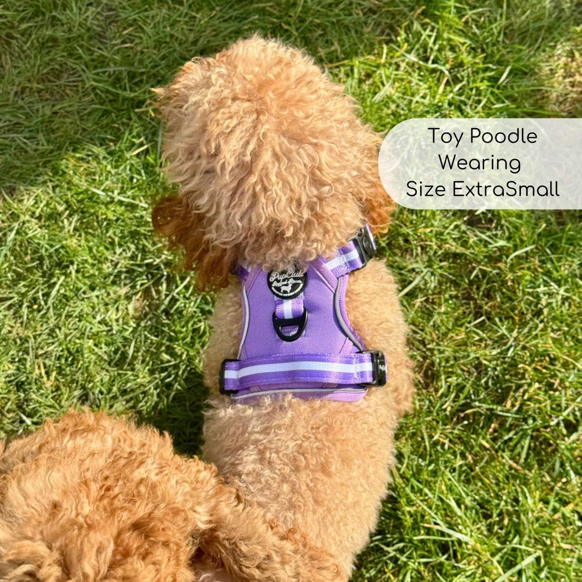 Rugged Rover™ Harness - Lilac Blush - The Bark Market
