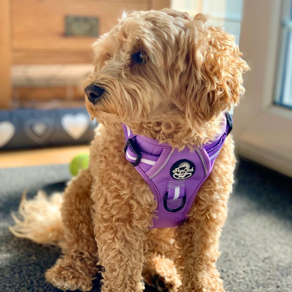 Rugged Rover™ Harness - Lilac Blush - The Bark Market