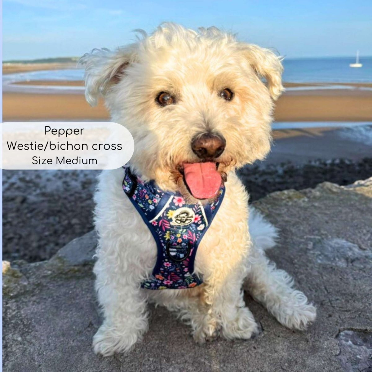 Rugged Rover™ Harness - Summer Meadow - The Bark Market