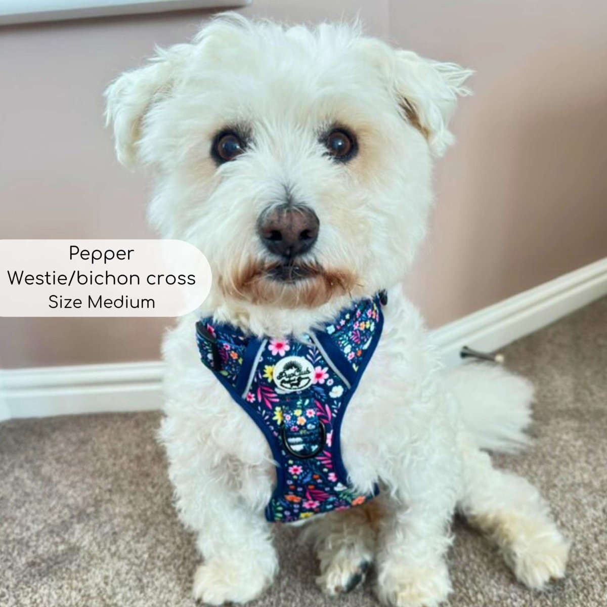Rugged Rover™ Harness - Summer Meadow - The Bark Market