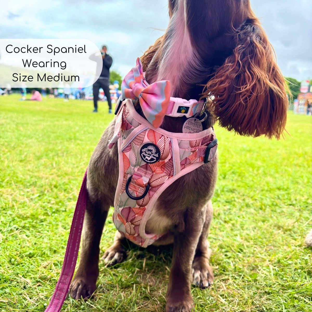 Rugged Rover™ Harness - Autumn Breeze - The Bark Market