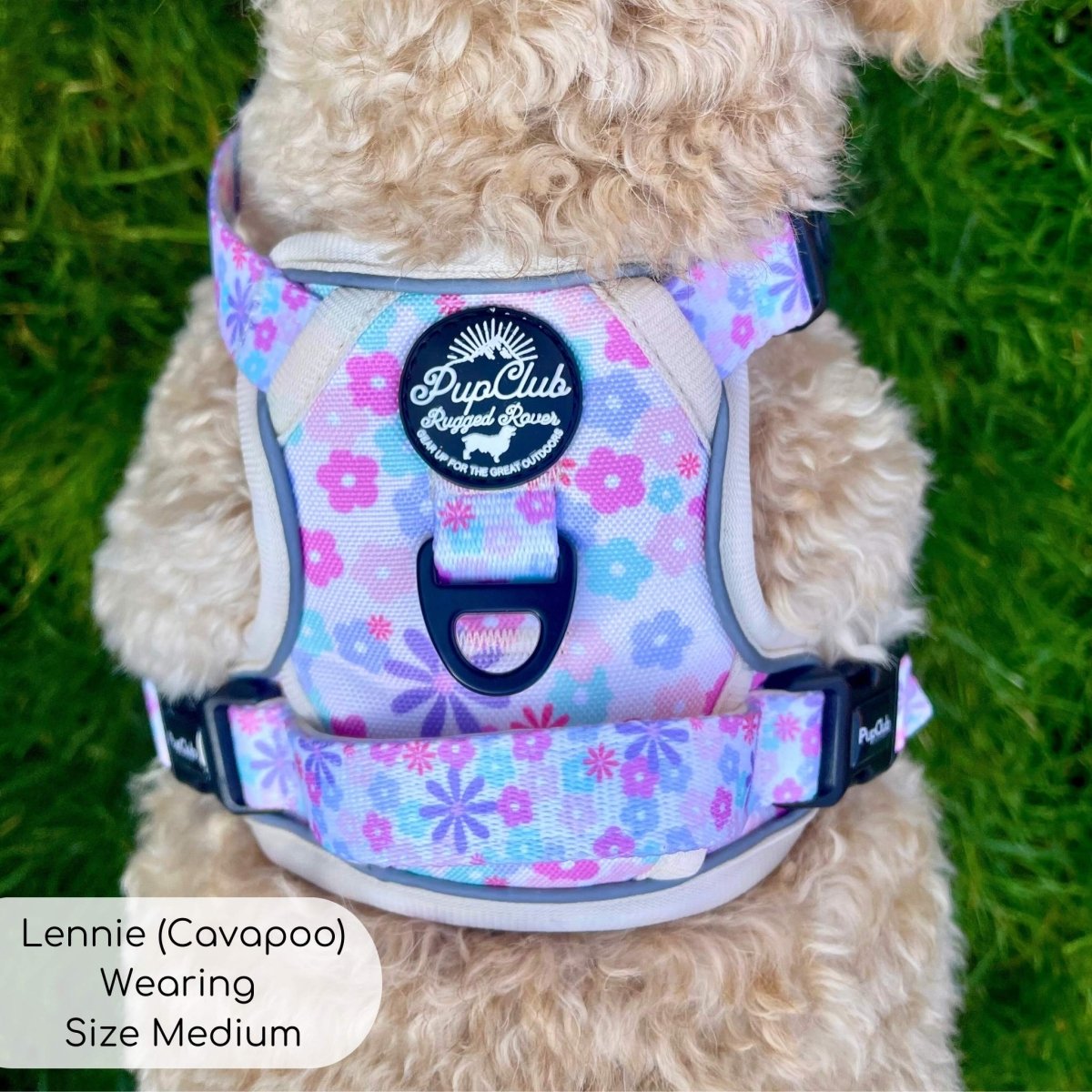 Rugged Rover™ Harness - Pretty Petals - The Bark Market