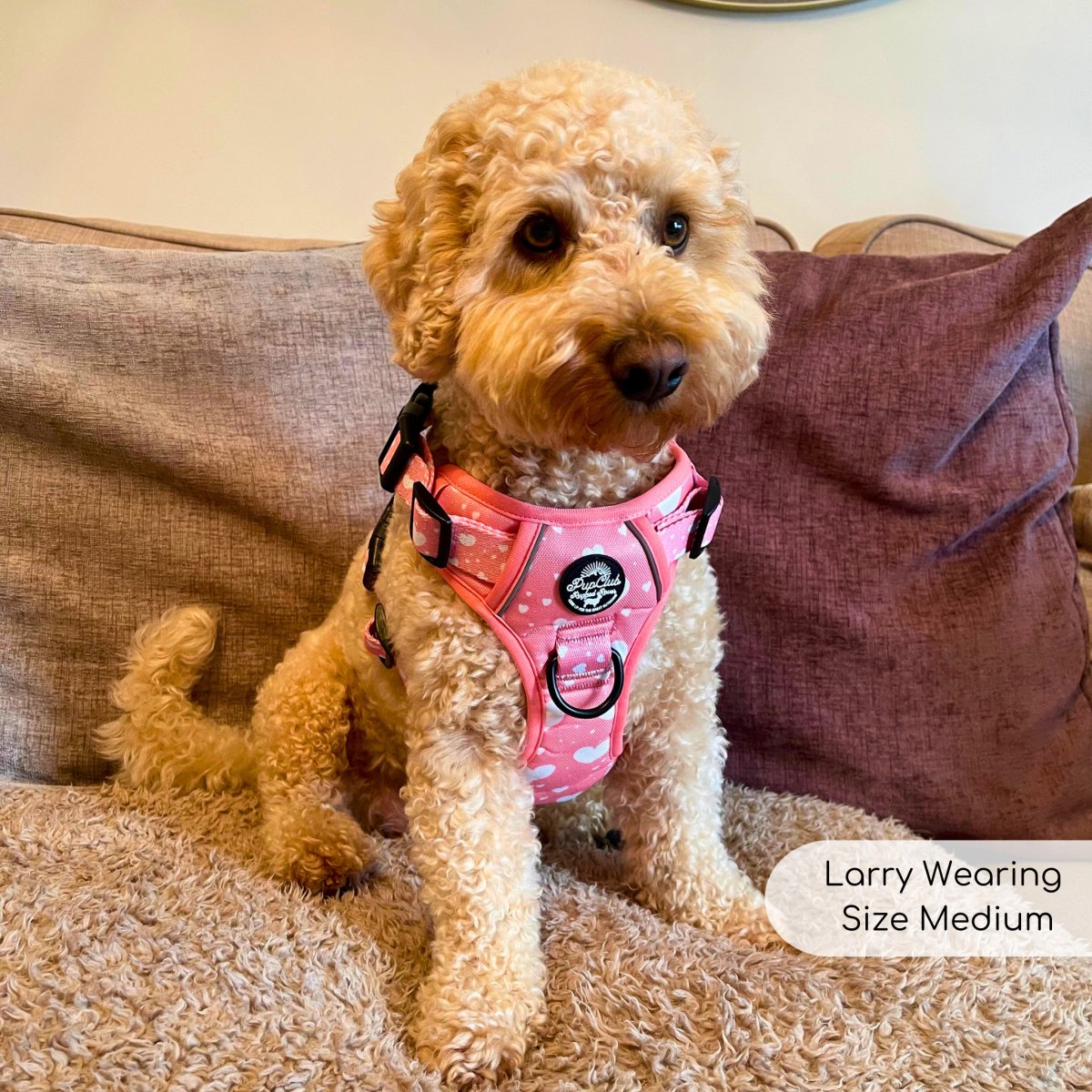 Rugged Rover™ Harness - Peachy Hearts - The Bark Market