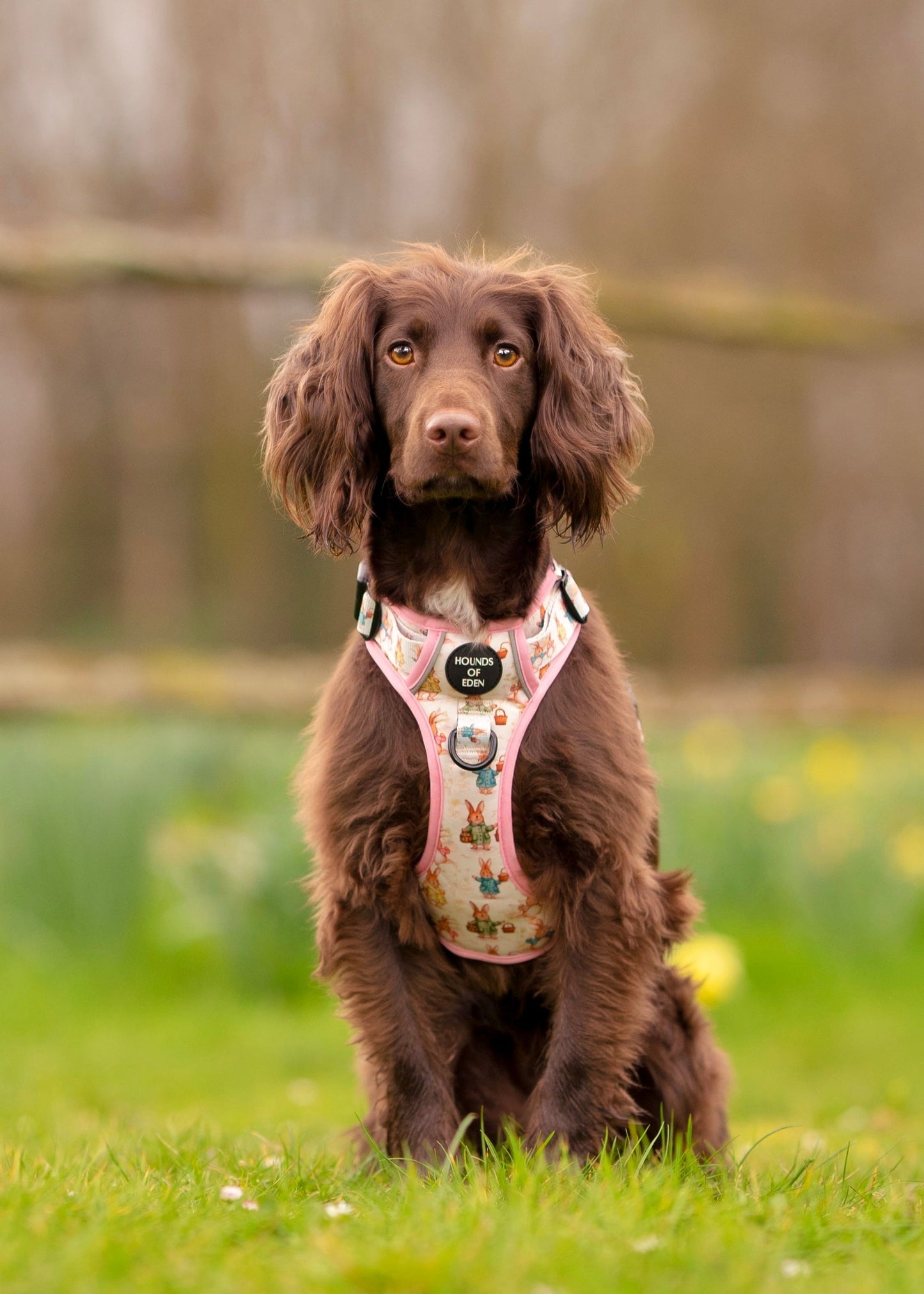 Bunny Tales - Pink, Dog Supaw Strong™ Lite Harness (XS-XL) - The Bark Market
