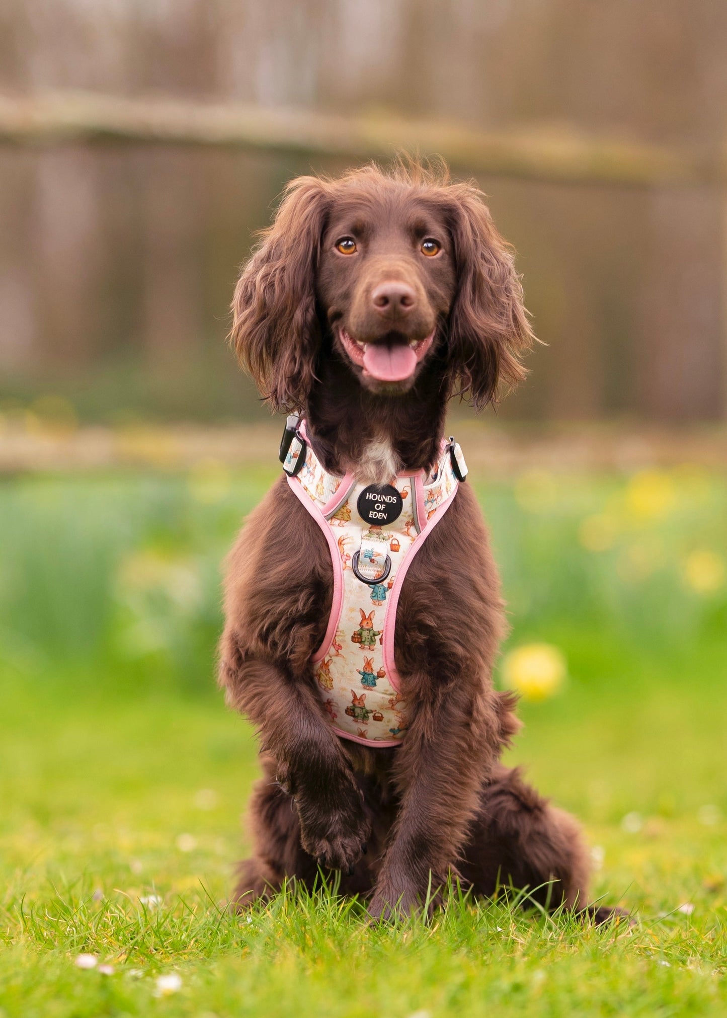 Bunny Tales - Pink, Dog Supaw Strong™ Lite Harness (XS-XL) - The Bark Market