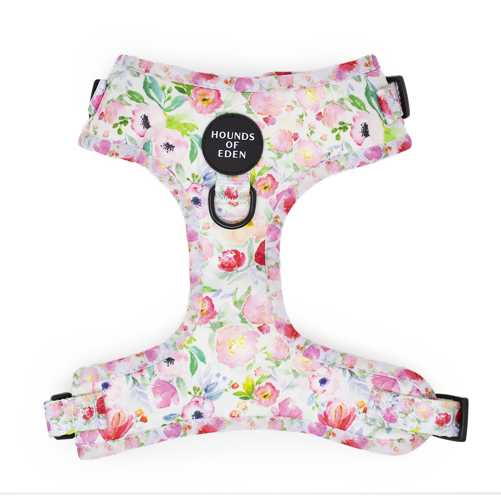 Ziggy's Secret Garden Design Dog Harness - The Bark Market