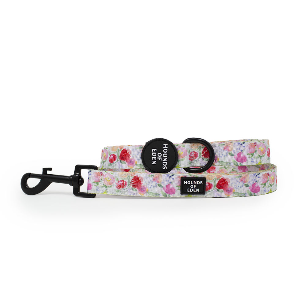 Ziggy's Secret Garden Design Dog Harness - The Bark Market