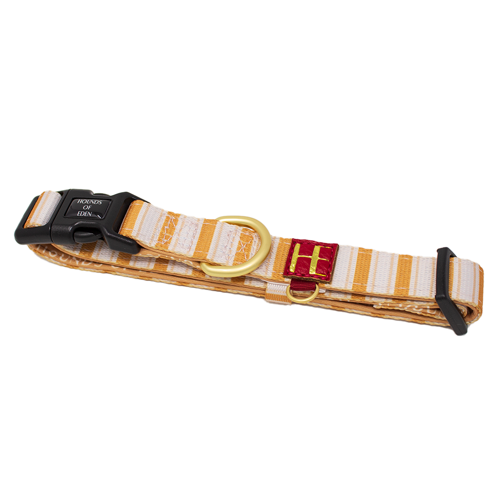 Harrold + Hattie Bears Supaw Strong Lite™ Dog Harness (XS-XL) - The Bark Market