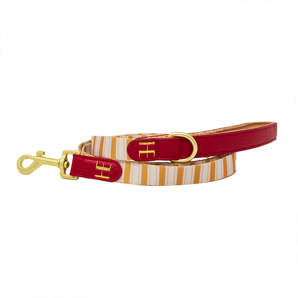 Harrold + Hattie Bears Supaw Strong Lite™ Dog Harness (XS-XL) - The Bark Market