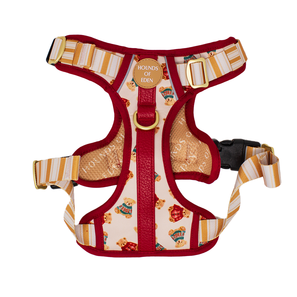 Harrold + Hattie Bears Supaw Strong Lite™ Dog Harness (XS-XL) - The Bark Market