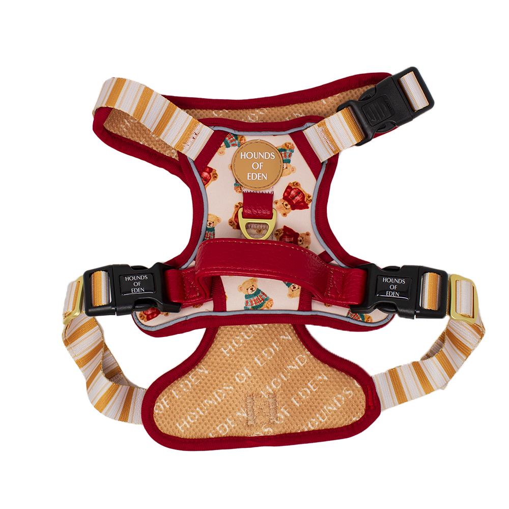 Harrold + Hattie Bears Supaw Strong Lite™ Dog Harness (XS-XL) - The Bark Market