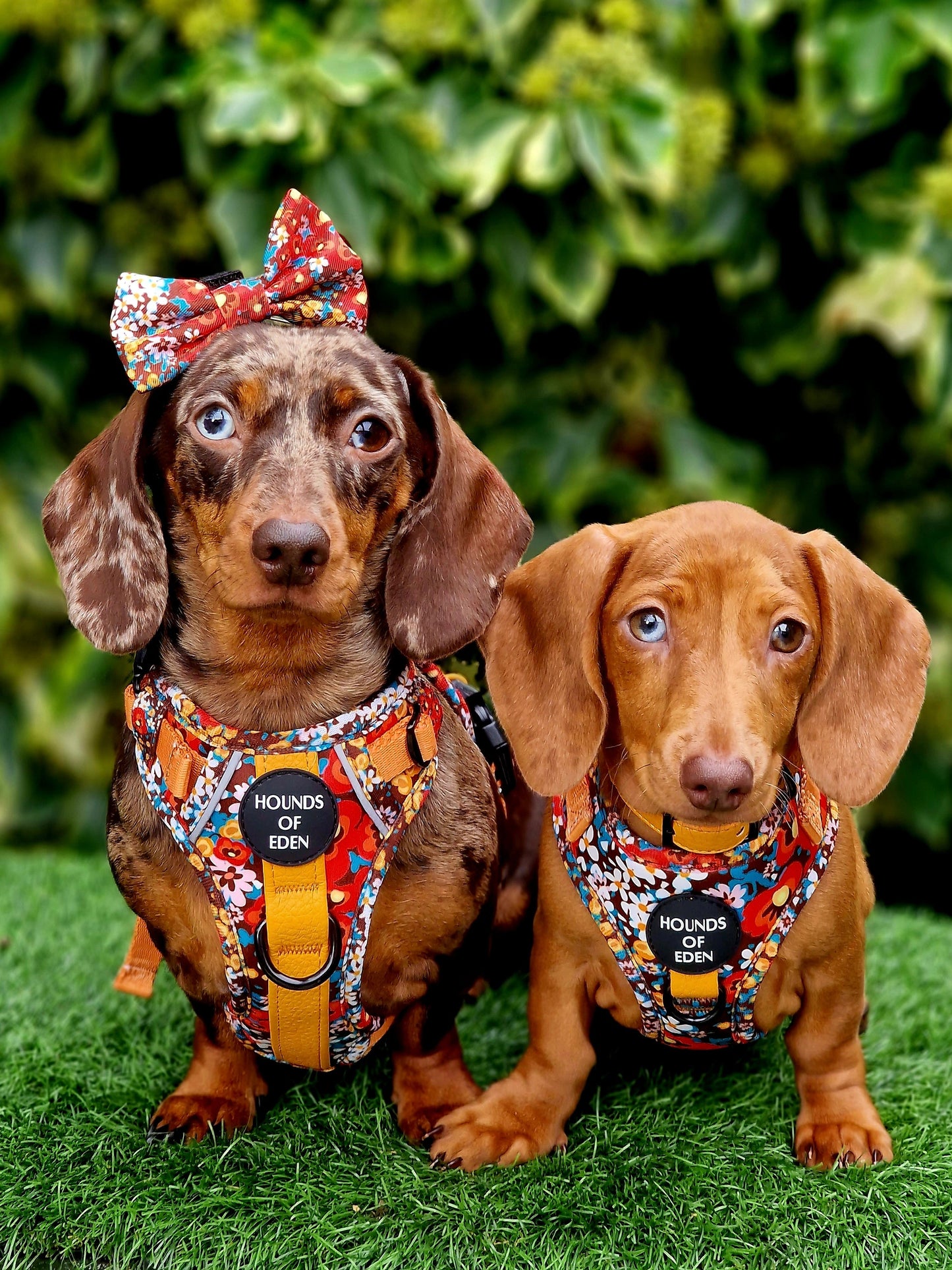 Retro BloomDesign Dog Bow Tie - The Bark Market