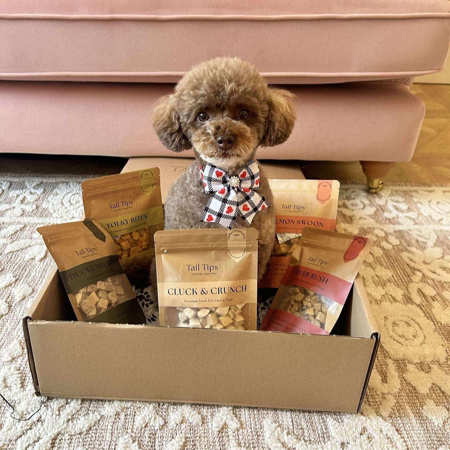 Food and treats - The Bark Market