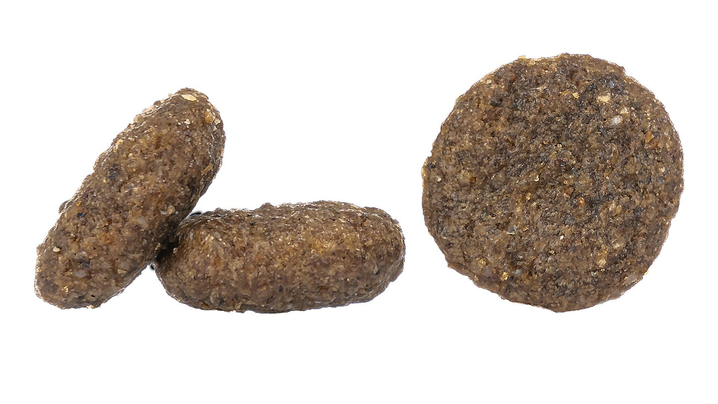 Mini Montana - The Bark Market