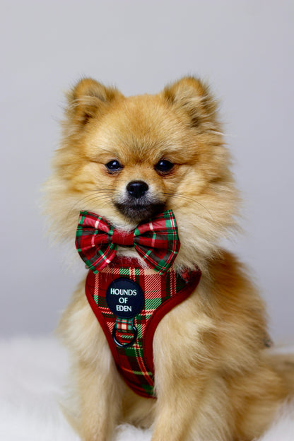 Tartan Me Up - Red & Cream Tartan Design Dog Harness - The Bark Market