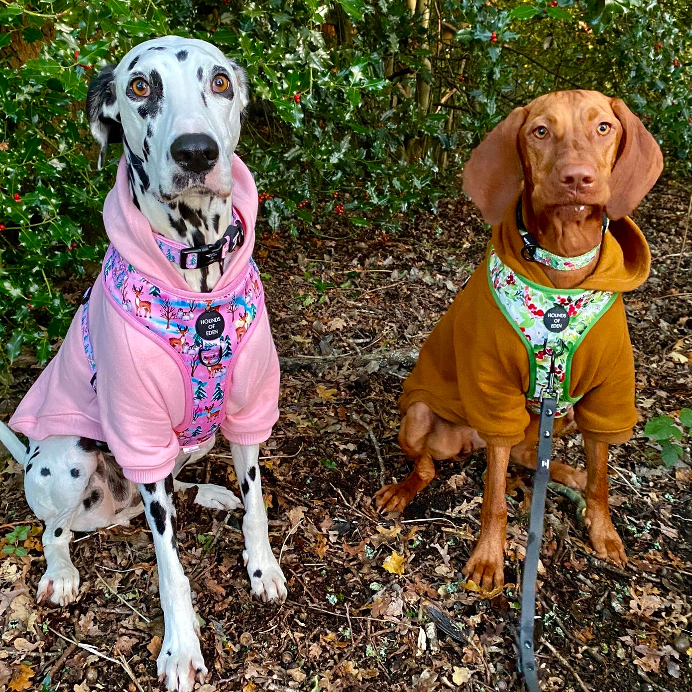 Winter Spruce & Berries Design Poop Bag Holder - The Bark Market