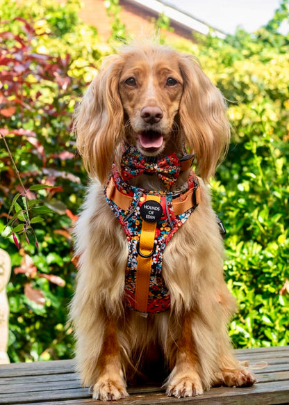 Retro Bloom Dog Supaw Strong Lite™ Harness (XS-XL) - The Bark Market