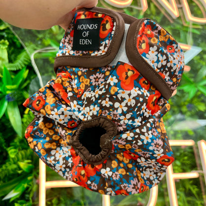 Retro Bloom - Dog Season Hygiene Panties - The Bark Market