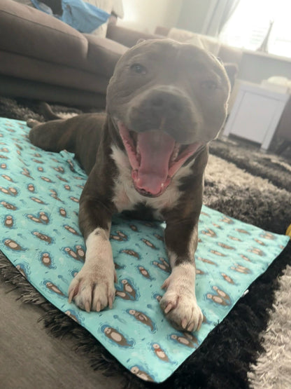 Otterly Lovely Dog Settle Mat - The Perfect Travel Mat for Your Dog! 🦦💙 - The Bark Market