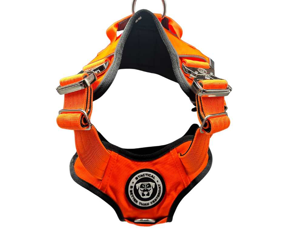 The No Pull Ultimate BTactical™ Harnesses - The Bark Market