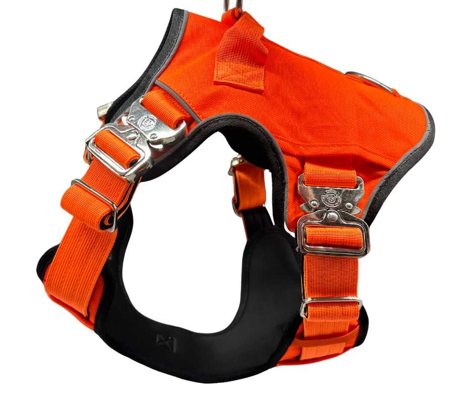 The No Pull Ultimate BTactical™ Harness | Citrus Orange - The Bark Market