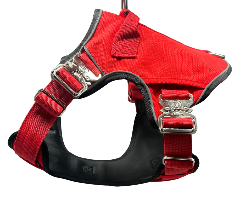 The No Pull Ultimate BTactical™ Harness | Citrus Red - The Bark Market