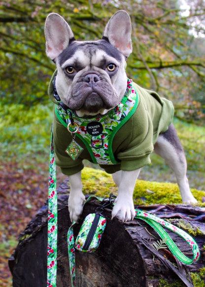Winter Spruce & Berries Design Dog Harness - The Bark Market