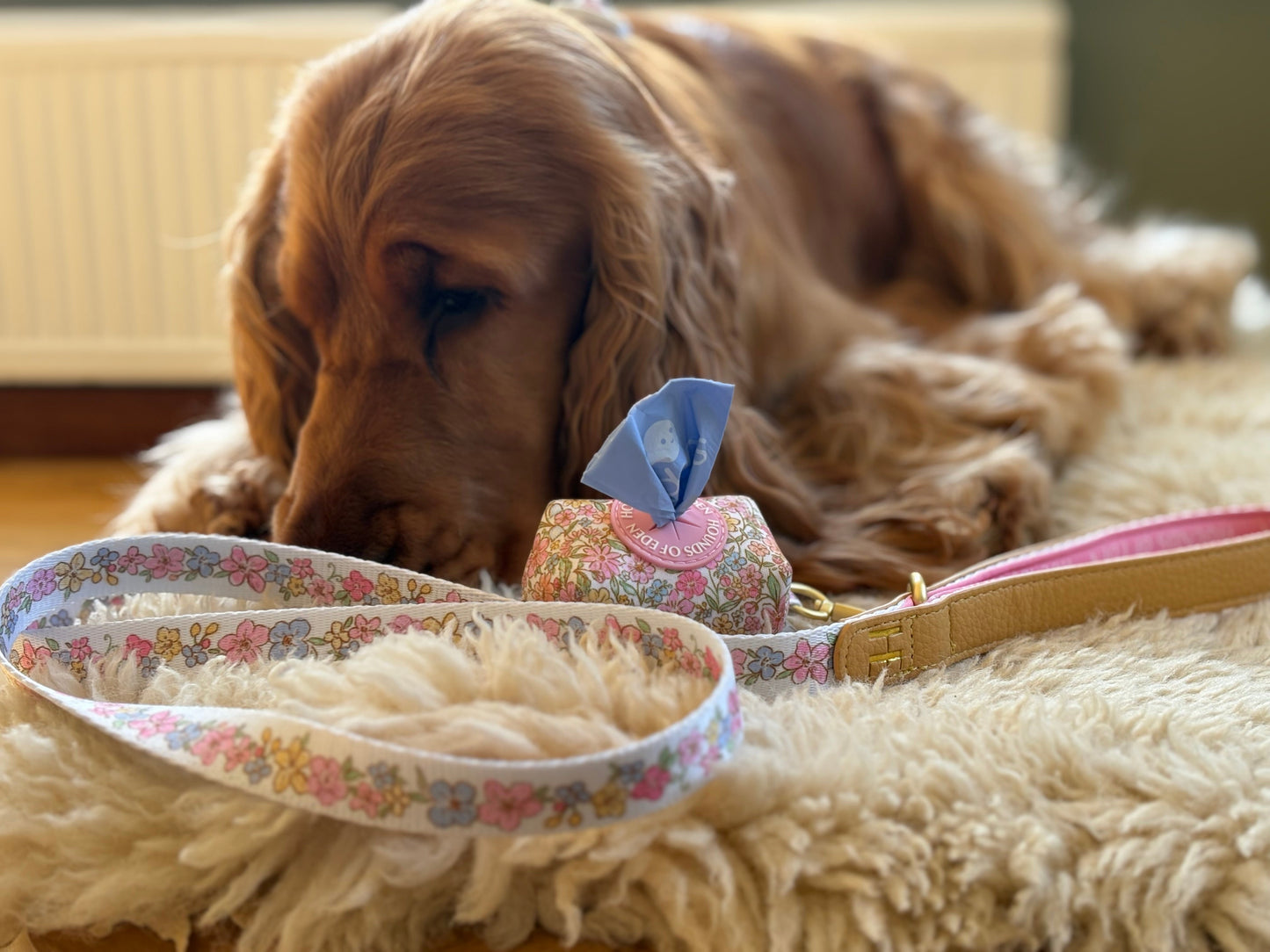 Pastel Petals - Leather Dog Lead - The Bark Market