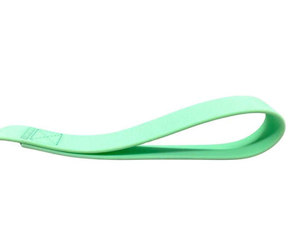 PVC BTactical™ Frog Clip Lead | Pastel Green - The Bark Market
