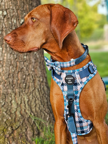 Tealing Smart Dog Supaw Strong Lite™ Harness (XS-XL) - The Bark Market