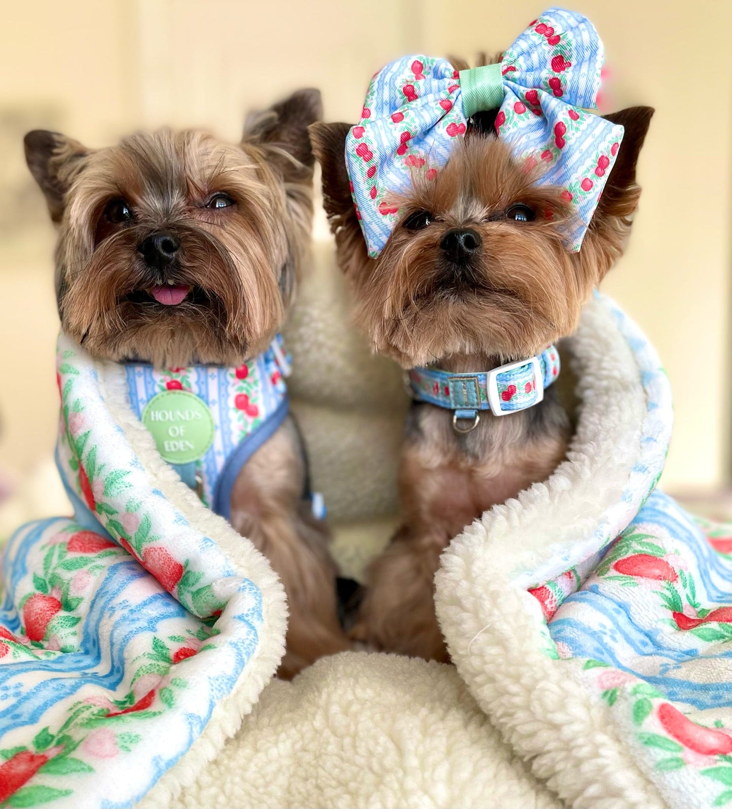 Eden's Orchard - Snuggle Blanket - The Bark Market