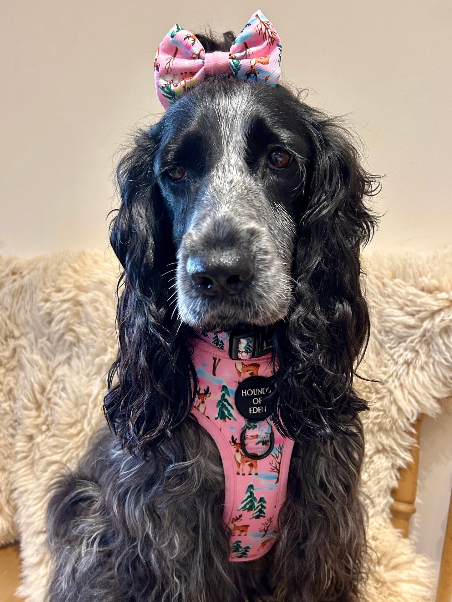 Aurora Nights - Pink Penguin Design Dog Harness - The Bark Market