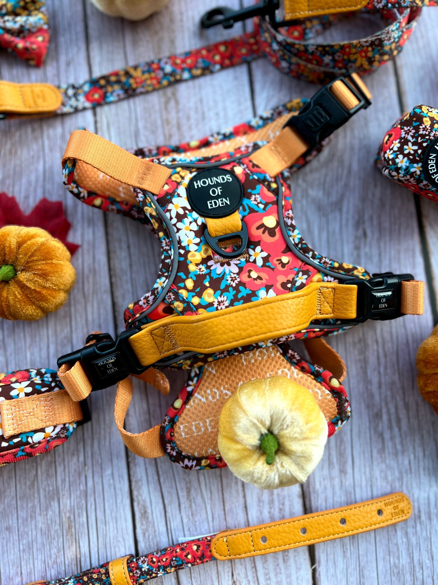 Retro Bloom Dog Supaw Strong Lite™ Harness (XS-XL) - The Bark Market
