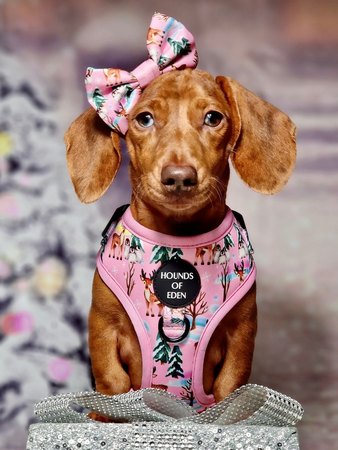 Aurora Nights - Pink Penguin Design Dog Harness - The Bark Market