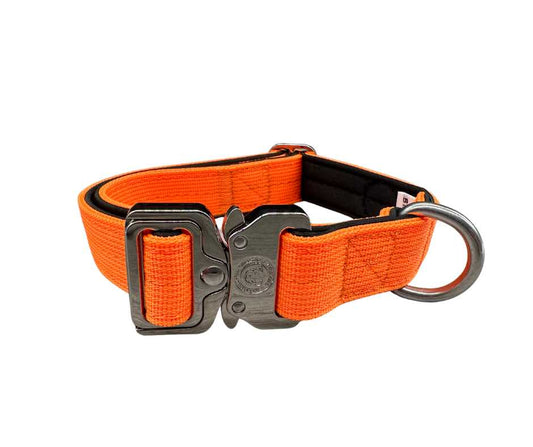 2.5cm Nylon BTactical™ Collar | Citrus Orange - The Bark Market