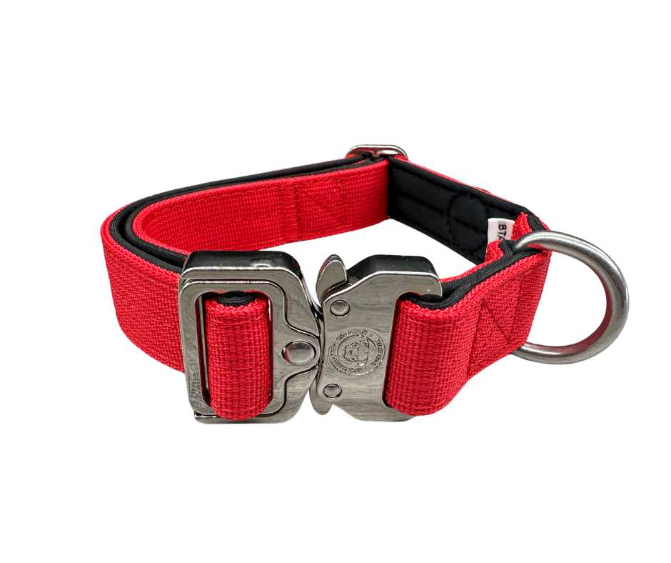 2.5cm Nylon BTactical™ Collar | Citrus Red - The Bark Market