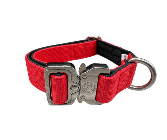 2.5cm Nylon BTactical™ Collar | Citrus Red - The Bark Market