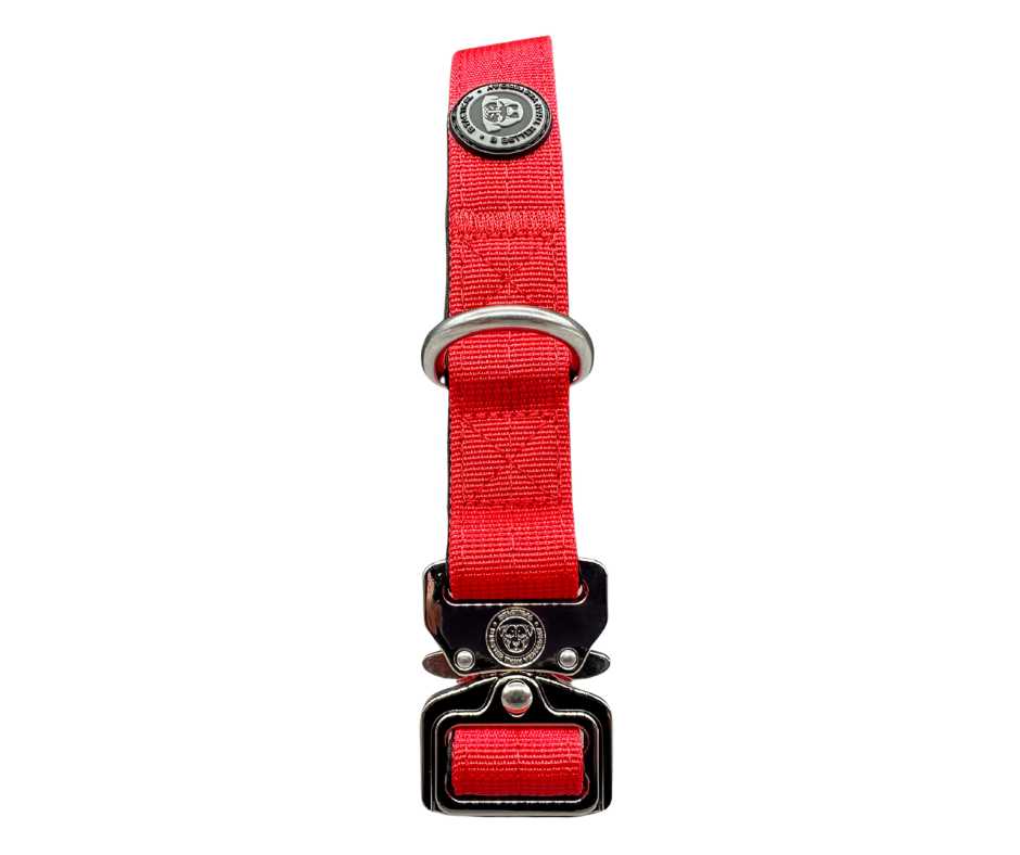 2.5cm Nylon BTactical™ Collar | Citrus Red - The Bark Market
