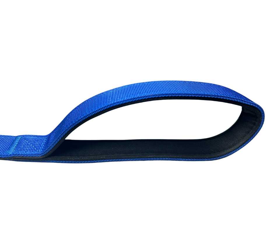 Nylon BTactical™ Carabiner Clip Lead | Royal Blue - The Bark Market