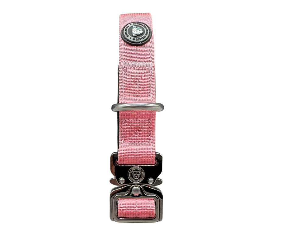 2.5cm Nylon BTactical™ Collar | Pretty Pink - The Bark Market