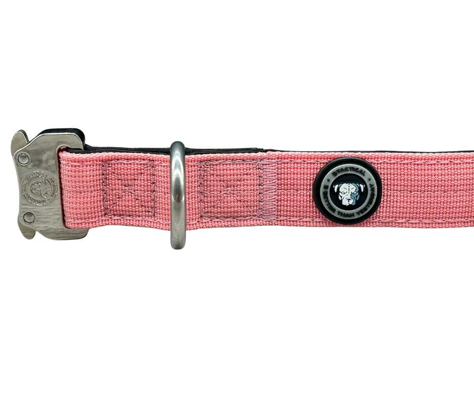 2.5cm Nylon BTactical™ Collar | Pretty Pink - The Bark Market
