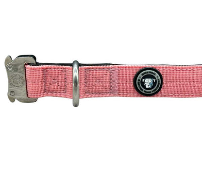 2.5cm Nylon BTactical™ Collar | Pretty Pink - The Bark Market
